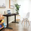 Whole Piece Electric Standing Desk, 48 x 24 Inches Height Adjustable Desk, Sit Stand Desk Home Office Desks - Black